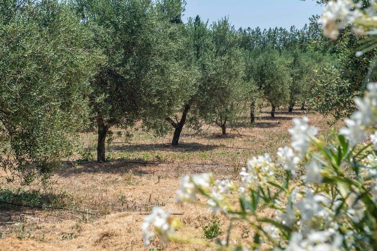 Finca Son Manyo Suite Sa Pobla 0*,  Spain