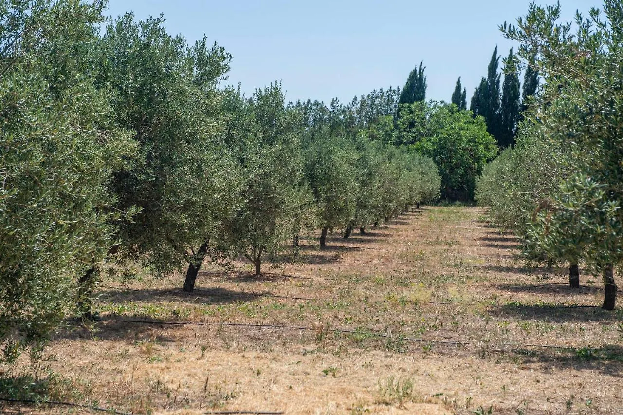 Finca Son Manyo Suite Sa Pobla 0*,